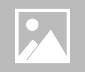 MK SPORT-南征水晶宫惨遭“灭门”，利物浦捍卫榜首代价太高